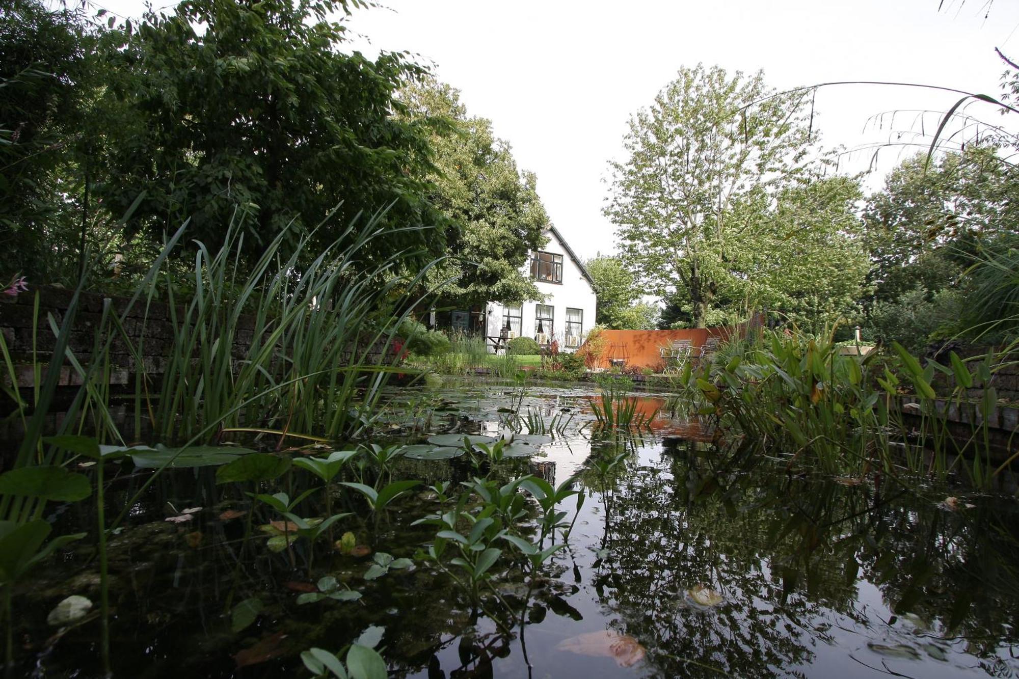 Nieuw-Scheemda De Witte Wolk Bed & Breakfast エクステリア 写真